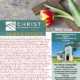 May 2025 Newsletter